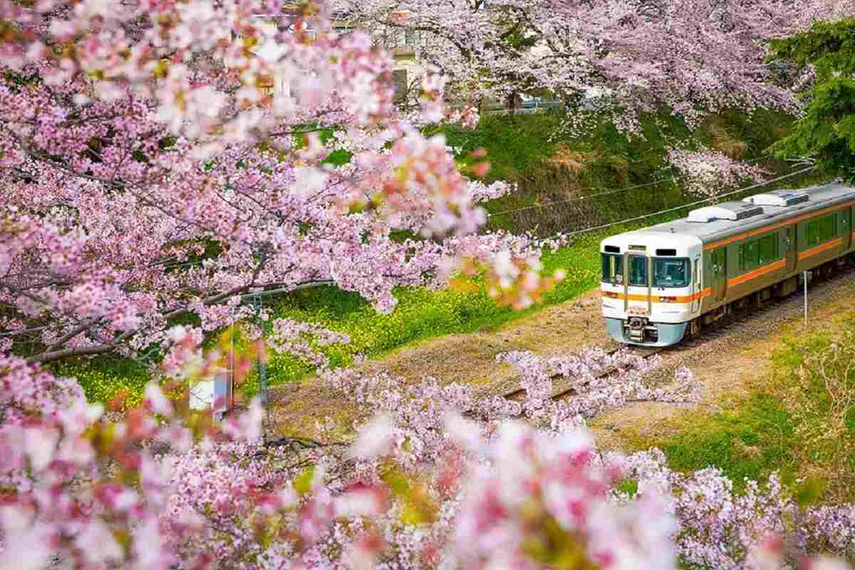 قطار در ژاپن