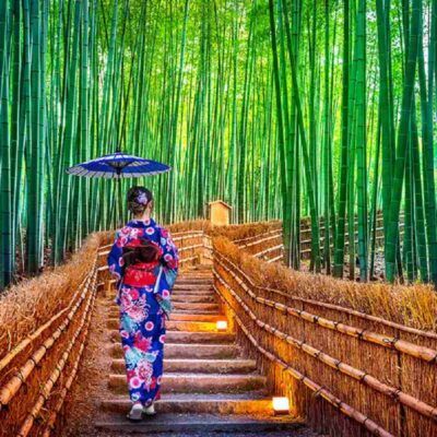 جنگل بامبو آراشیاما در ژاپن