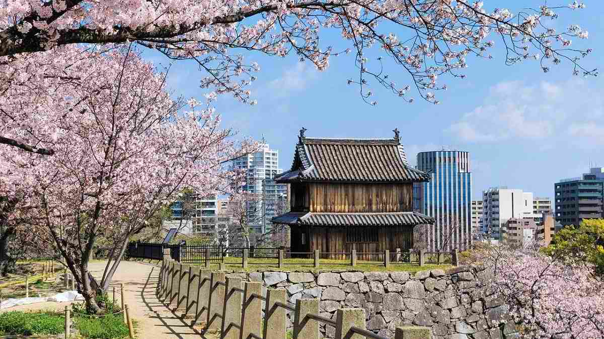 7 دلیل مهم برای رفتن به باغ ملی شینجوکو