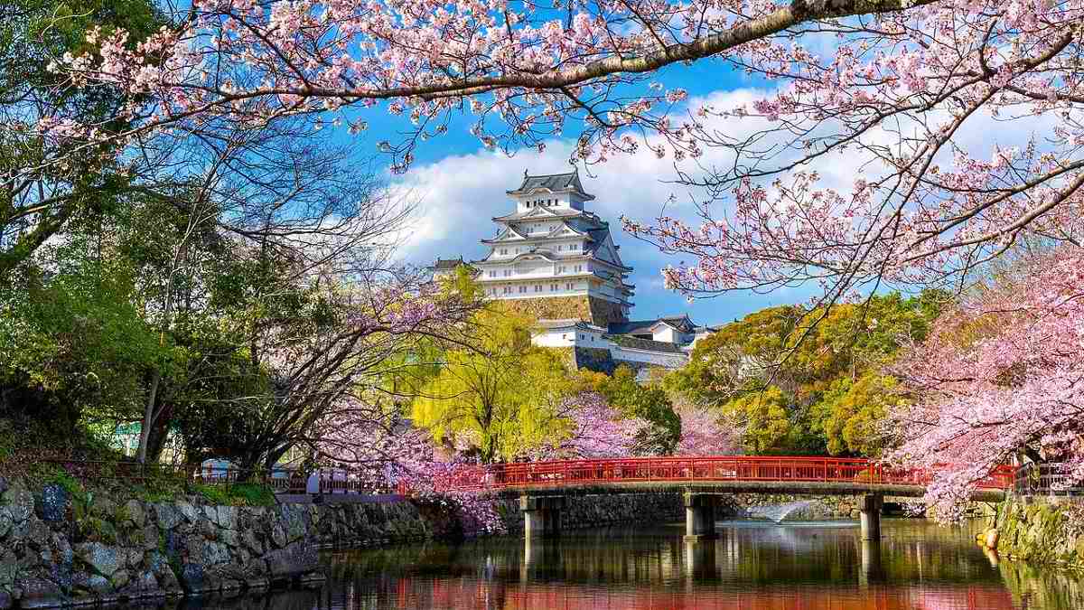 باغ ملی شینجوکو گیوئن ژاپن