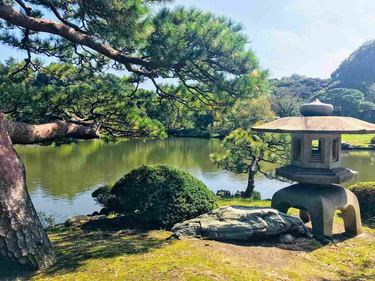 تاریخچه باغ ملی شینجوکو گیوئن ژاپن