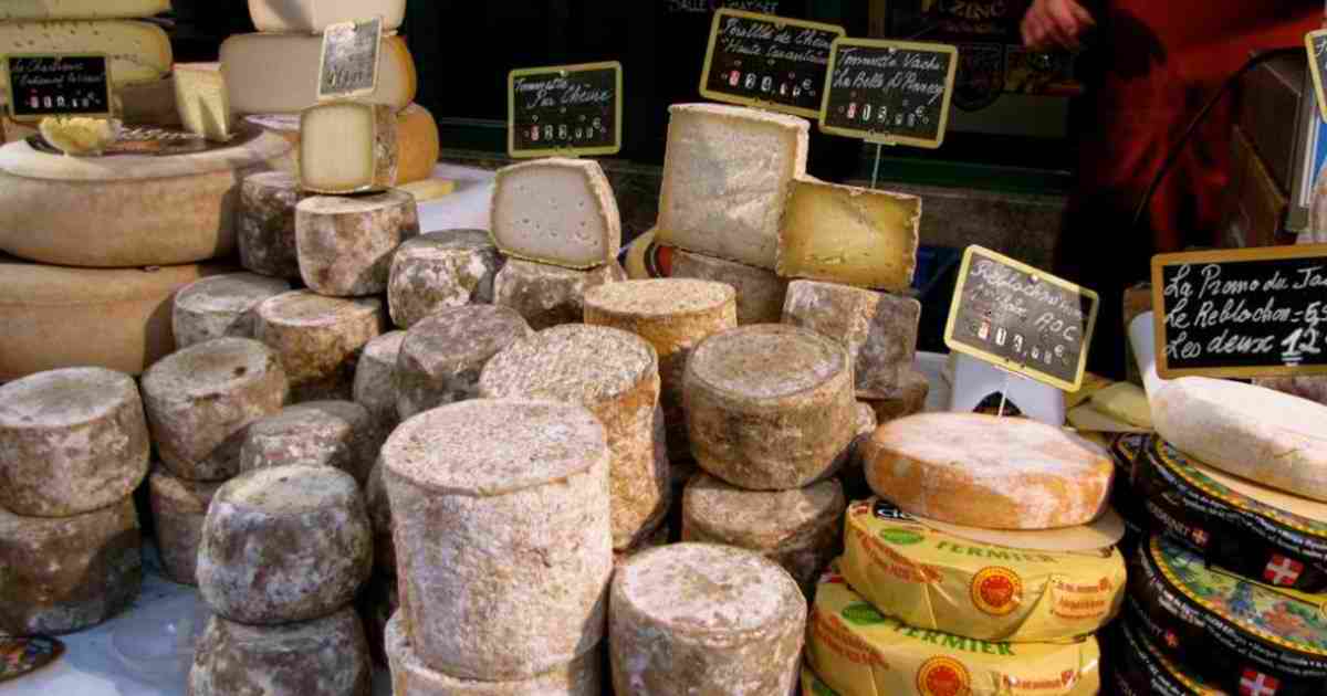 فرانسه بیش از 1500 نوع پنیر تولید می‌کند