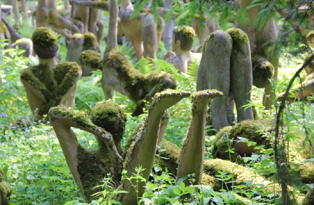 جاذبههای عجیب کره جنوبی