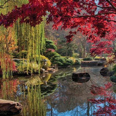 باغ‌های بوتانیکال ژاپن
