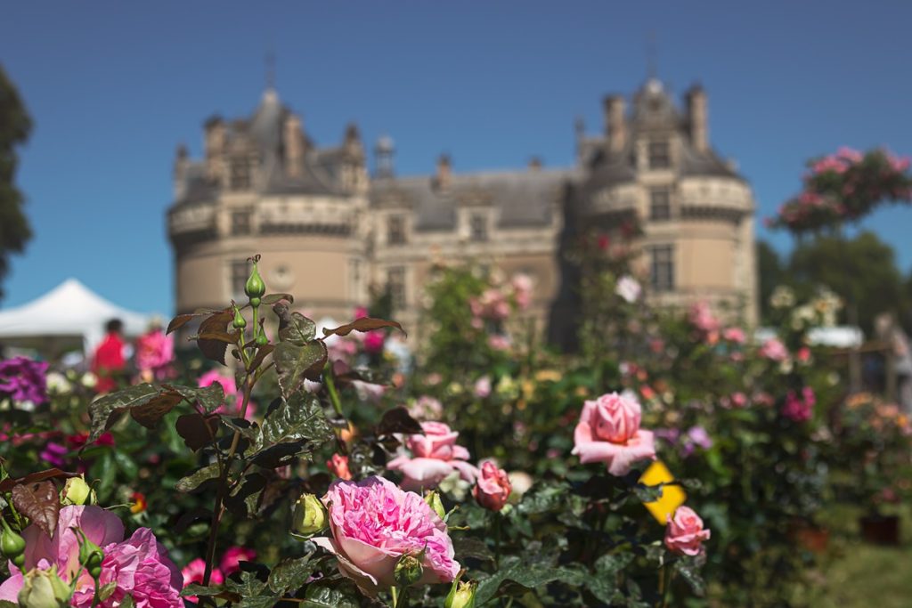 دره لوآر در فرانسه