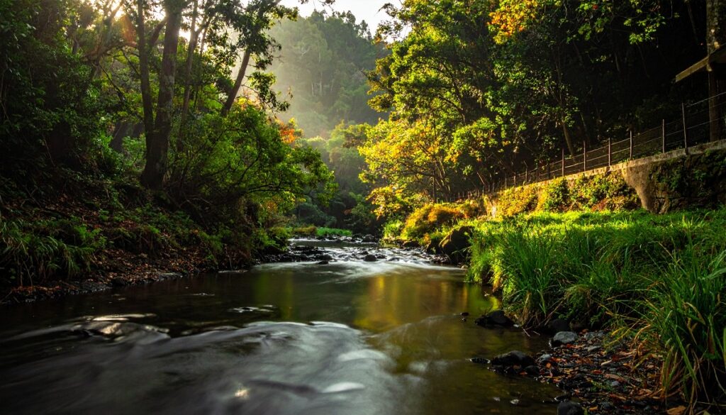 دره تاکاچیهو