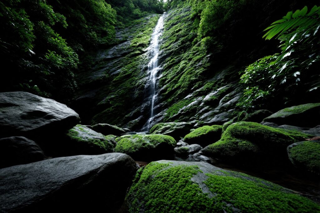 تاریخچه یاکوشیما